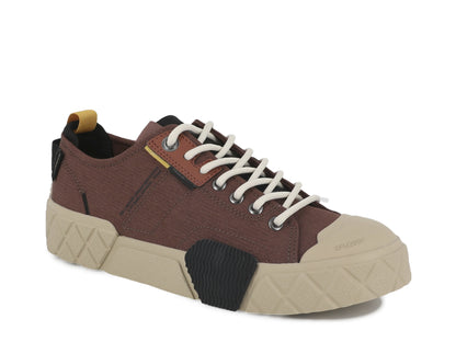 ACE CITY SHELL LO RACCOON Palladium