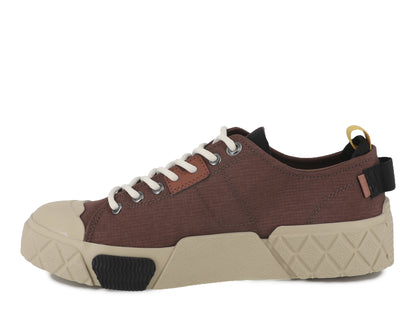 ACE CITY SHELL LO RACCOON Palladium