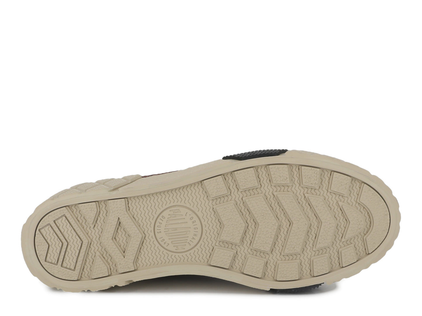 ACE CITY SHELL LO RACCOON Palladium