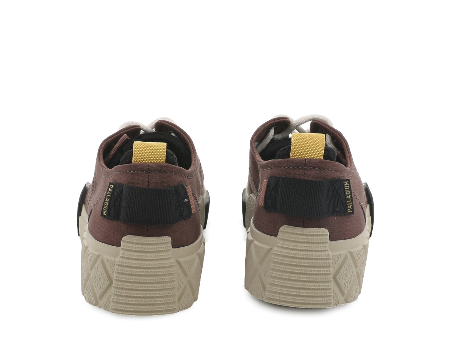 ACE CITY SHELL LO RACCOON Palladium