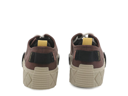 ACE CITY SHELL LO RACCOON Palladium